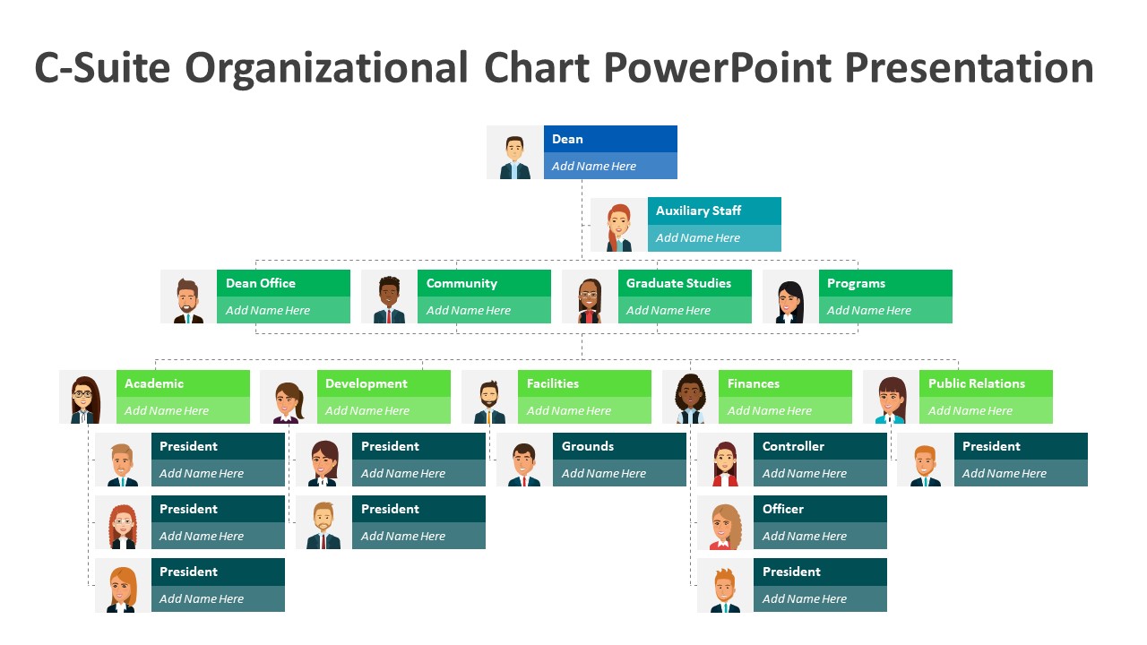 C-Suite Organizational Chart PowerPoint Presentation